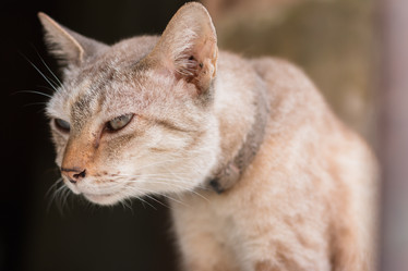 Similar image 13210052