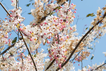 Similar image 13205163