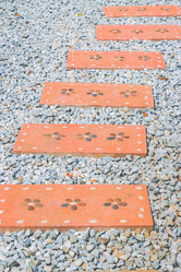 Similar image 13209493