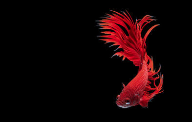 Similar image 13209522