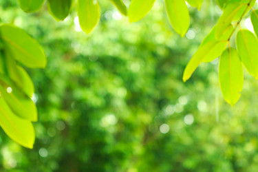 Similar image 13209738