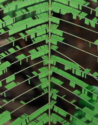 Similar image 13209863