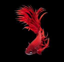 Similar image 13209996