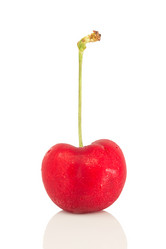 Similar image 13210092