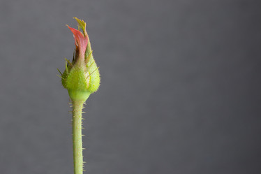 Similar image 13205188