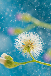 Similar image 13205877