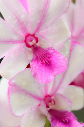 Similar image 13205322