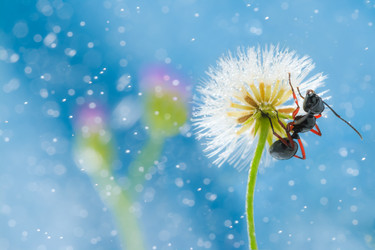 Similar image 13205324