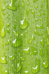 Similar image 13209498