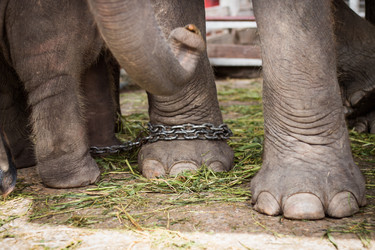 Similar image 13209580