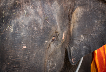 Similar image 13209582