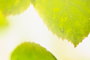 Similar image 13209583