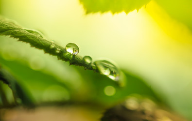 Similar image 13209584