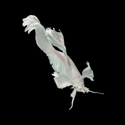 Similar image 13209588