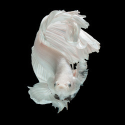 Similar image 13209606