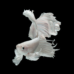 Similar image 13209613