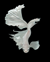 Similar image 13209616