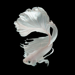 Similar image 13209617