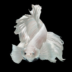 Similar image 13209620