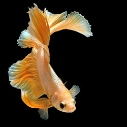 Similar image 13209656