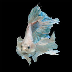 Similar image 13209701