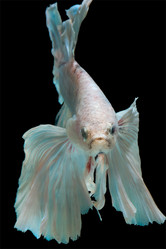 Similar image 13209721