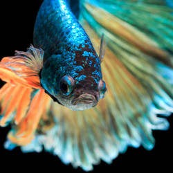 Similar image 13209799