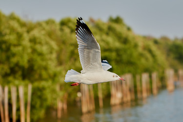 Similar image 13205860