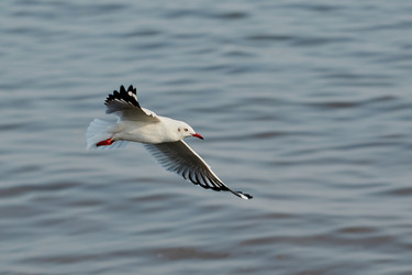 Similar image 13205861