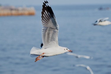 Similar image 13205862