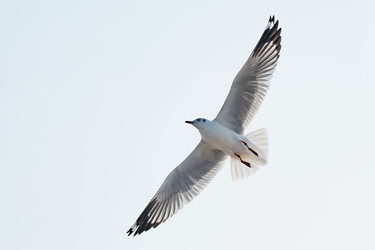 Similar image 13205878