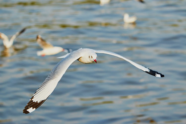 Similar image 13205879