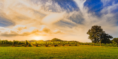 Similar image 13209506