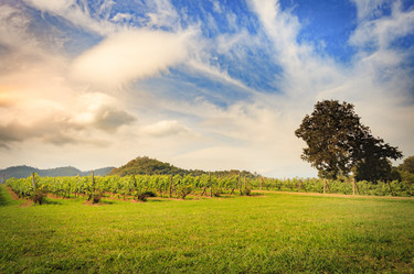 Similar image 13209538