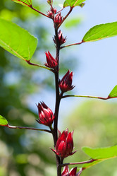 Similar image 13209623