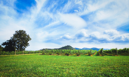 Similar image 13209629