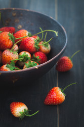 Similar image 13209645