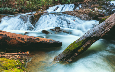 Similar image 13209682