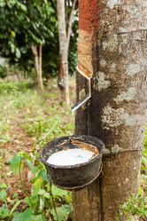 Similar image 13209690