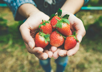 Similar image 13209725