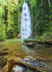 Similar image 13209729