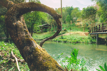 Similar image 13209744