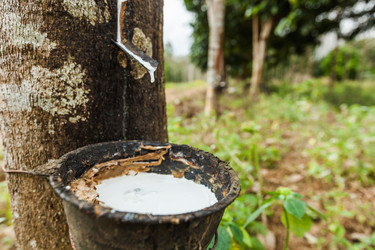 Similar image 13209726