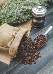 Similar image 13209809