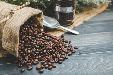 Similar image 13209775