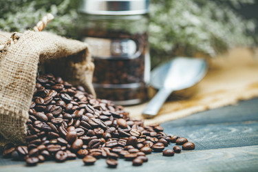 Similar image 13209780