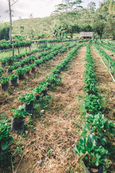 Similar image 13210024