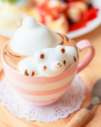 Similar image 13205803