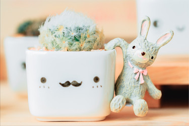 Similar image 13205842