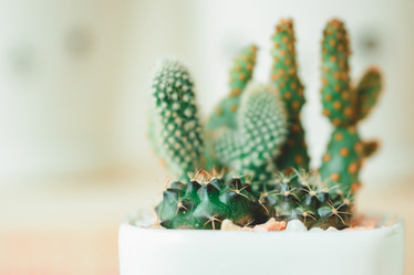 Similar image 13205843